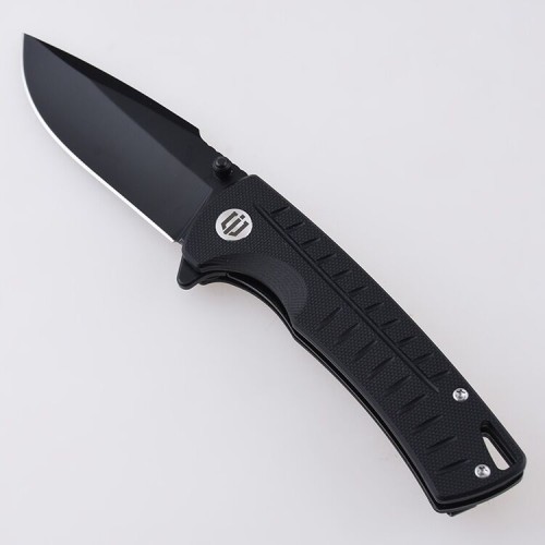 Shieldon Ichthyolite EDC Pocket Knife, 3.2" Blackened D2 Blade Black G10 Handle Liner Lock Folding Knife with Clip, Qualified as Outdoor Hunting Knife 