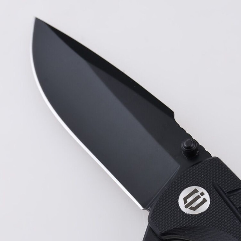Shieldon Ichthyolite EDC Pocket Knife, 3.2" Blackened D2 Blade Black G10 Handle Liner Lock Folding Knife with Clip, Qualified as Outdoor Hunting Knife 