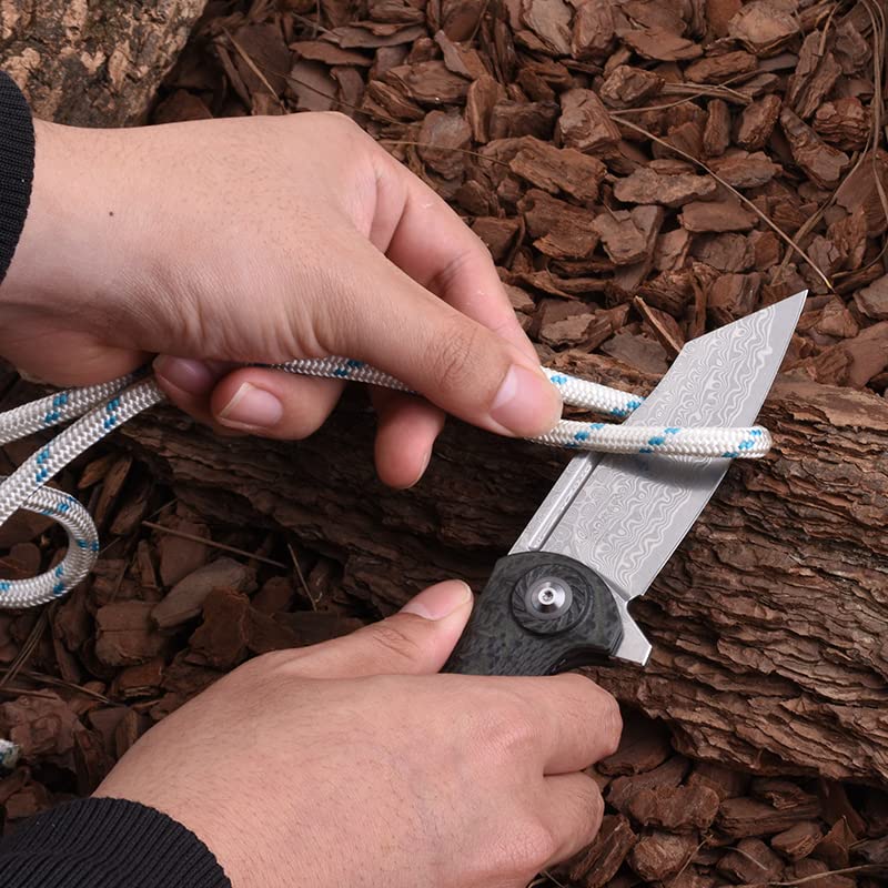Shieldon Tranchodon Damascus Pocket Knife with Clip, 3.66" VG10 Blade Green G10 Handle with Carbon Fiber Overlay, Liner Lock Ourdoor Folding Knife for Camping 
